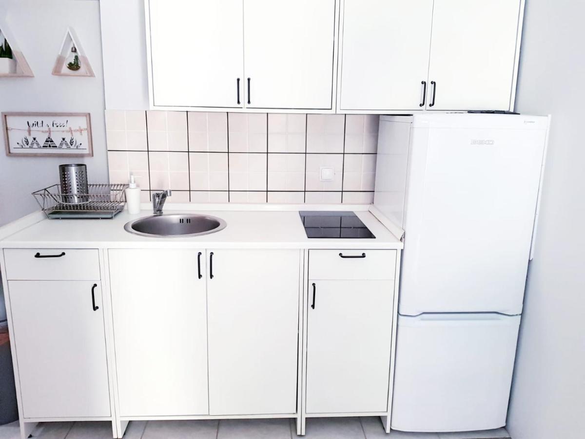 Apartment Kolaric نوفي فينودولسكي المظهر الخارجي الصورة