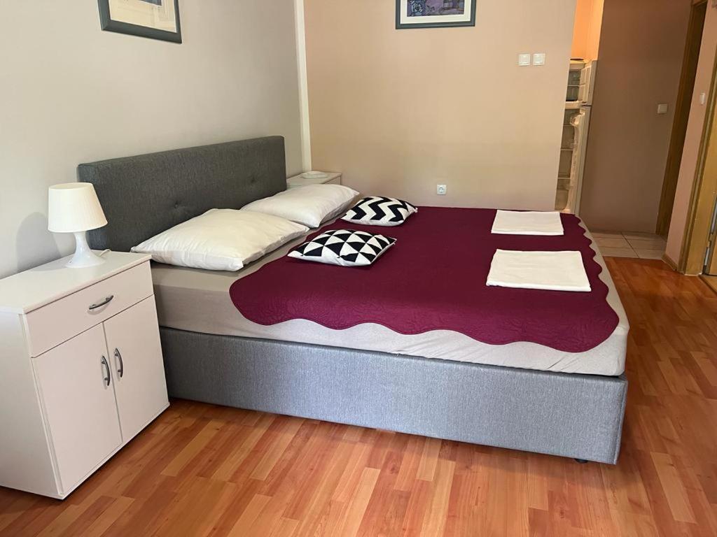 Apartment Kolaric نوفي فينودولسكي المظهر الخارجي الصورة