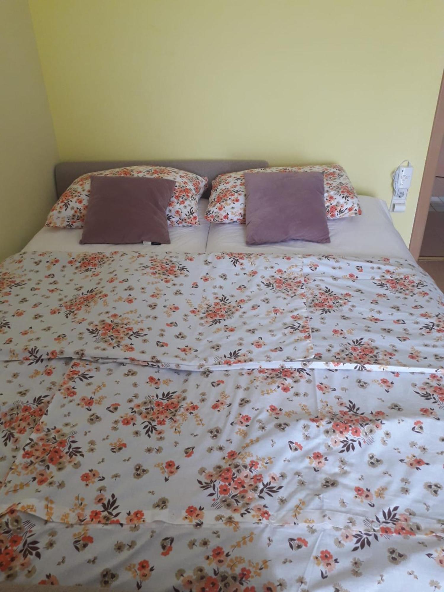 Apartment Kolaric نوفي فينودولسكي المظهر الخارجي الصورة